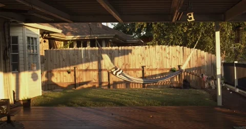 Backyard Hammock And Small Dog In Evening Light Stock Footage 340543236