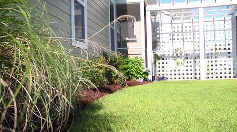Backyard, home, lattice deck, windy, handheld, realtime Stock Footage 25911960