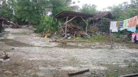 Backyard home Stock Photos