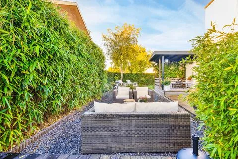 Backyard of house with couch Stock Photos