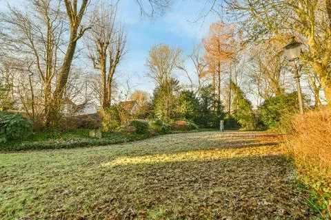 The backyard of the house is full of trees and Stock Photos