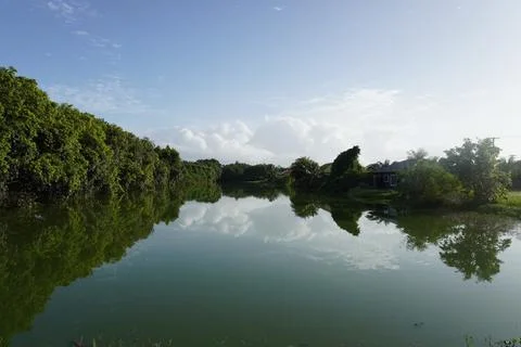 Backyard lake Foto stock