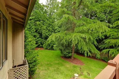 Backyard landscape. view  from walkout deck Stock Photos