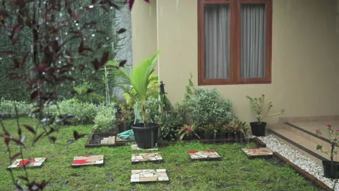 Backyard medium close view in raining day Stock Footage 150468781