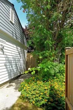 Backyard with narrow walk-through Fotos de archivo