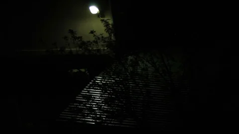 Backyard at night Stockbeeldmateriaal 81453771