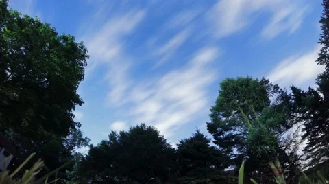 Backyard Night Time-lapse Stock Footage 53490915