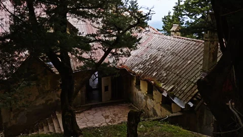 Backyard of an old abandoned villa in the forest Stock Footage 267345178