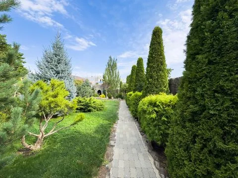 Backyard path, garden path, A path is lined with trees and bushes Stock Photos