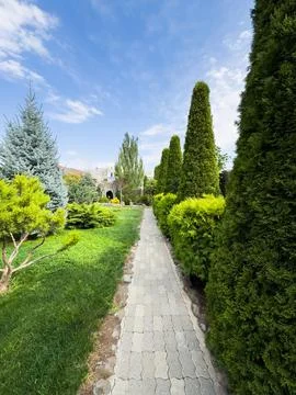 Backyard path, garden path, A path is lined with trees and bushes Foto stock
