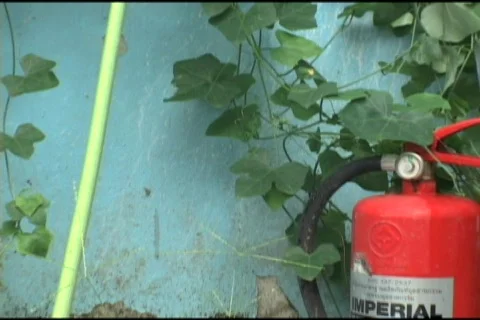 Backyard Patio Vídeo Stock 516218