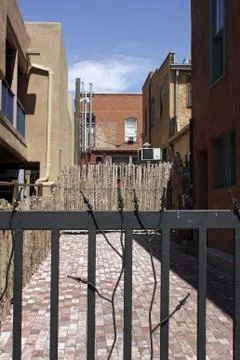 Backyard Stock Photos