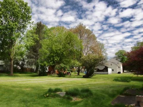 Backyard Stock Photos