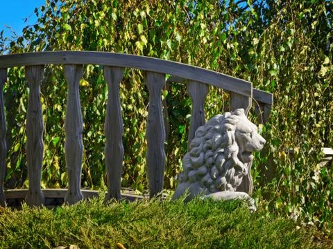 Backyard Stock Photos