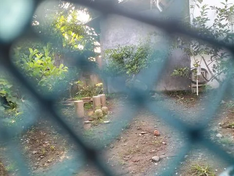 Backyard Stock Photos