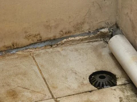 The Backyard Stock Photos