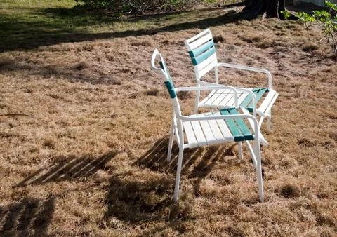 Backyard Foto stock