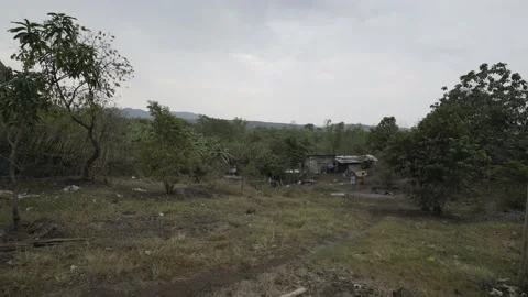 Backyard piggery or pig farm in Rizal province, Philippines Stock Footage 229711564
