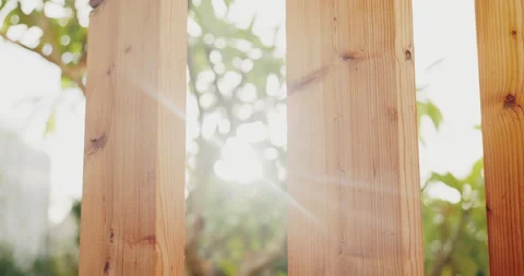 Backyard, plants and conservation with fence design for architecture, property Stock Footage 335266199