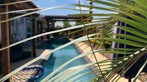 Backyard pool, poolside greenery, outdoor plant, pool area, lush Stock Footage 291746723