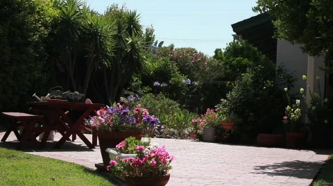 Backyard Potted Flowers Wide Stock Footage 738879