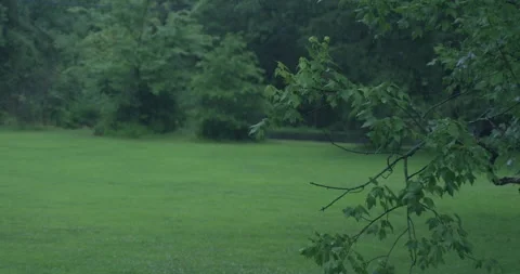 Backyard rain traffic in background Stock Footage 137427581