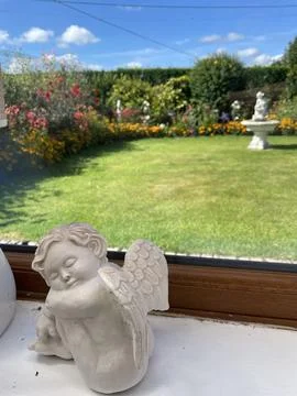 Backyard scenery through window. Stock Photos