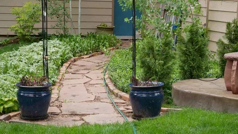 Backyard Before shots Stock Footage 123392320