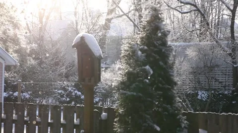 Backyard snow fall in the sun Video stock 46418347