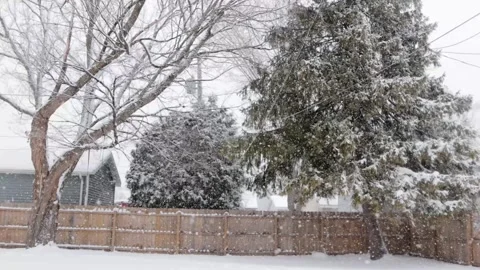 Backyard snow Stock Footage 263839150