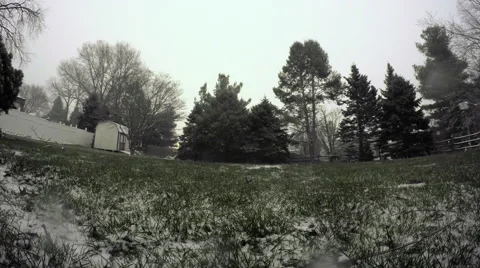 Backyard Snowfall Timelapse Video stock 64143561