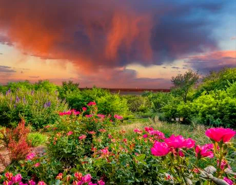 Backyard Sunset Stock Photos