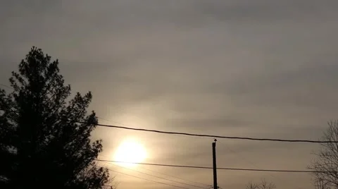 Backyard Sunset slow pan down to tree silhouette Vídeos de archivo 62878880