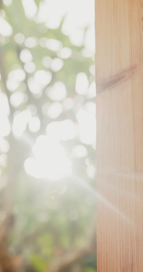 Backyard, sunshine and conservation with fence design for architecture, property Stock Footage 335264733