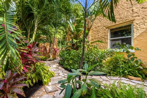 Backyard Surrounded by large vegetation short grass, stone paths. Stock Photos