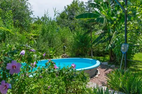 Backyard Swimming Pool Surrounded by Lush Summer Garden Stock Photos