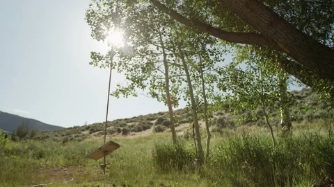 Backyard swing Stock Footage 92828220