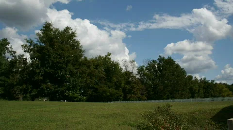 Backyard Timelapse of Mowing Stock Footage 811053