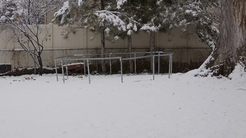 Backyard Trampoline in Winter Video stock 101039610