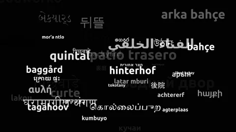 Backyard Translated in 52 Worldwide Languages Endless Looping 3d Zooming Word Video stock 145204059