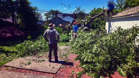 Backyard Tree Removal Time Lapse Featuring Skid Steer Loader and Landscape Stock Footage 337941244