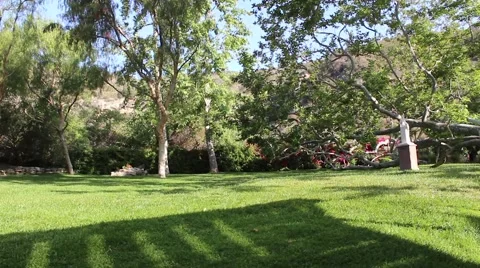 Backyard View 01 Video stock 49455378