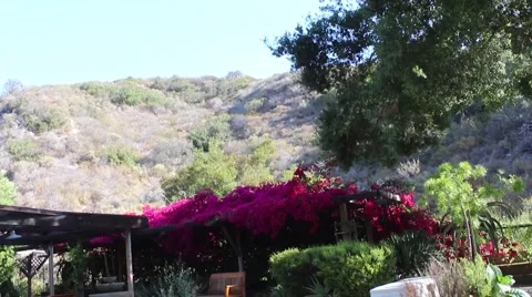 Backyard View 04 Stock Footage 49455783