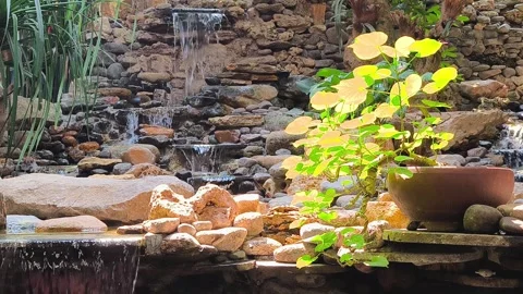 Backyard Waterfall Garden. Stock Footage 339039999