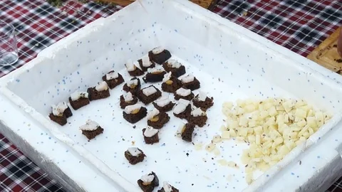 Bacon on bread, cheese Stock Footage 79503389