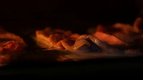 Bacon cooking under a grill/broiler Stock Footage 101284383
