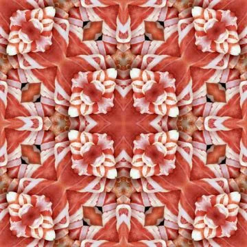 Bacon Seamless Pattern Stock Photos