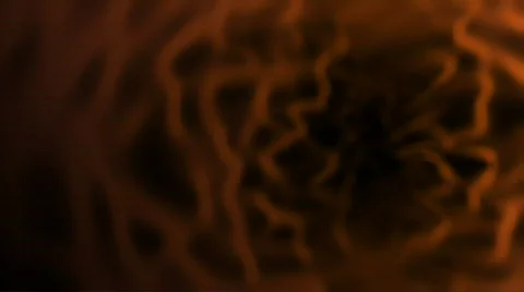 Bacteria 02 Stock Footage 374761