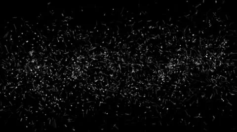 Bacteria 2 in 1 Stockbeeldmateriaal 25885376