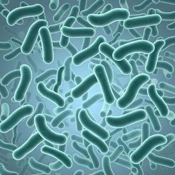 Bacteria 3D concept Stock Illustration